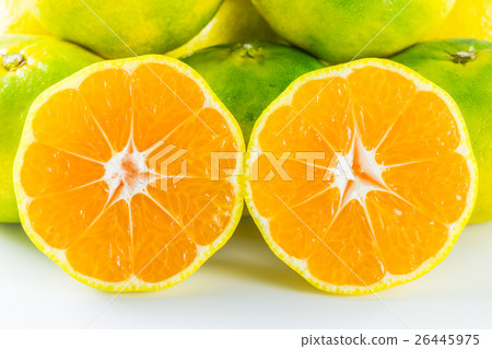 早熟橙子 早熟橙子 26445975