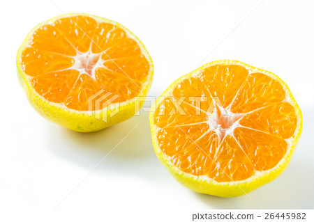 早熟橙子 26445982