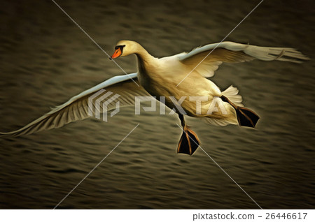 Flying Swan 26446617