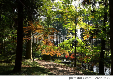 增田靖國神社的秋天 26449679