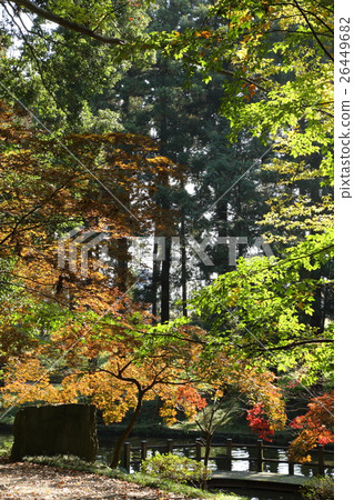 Autumn of Masuda Shrine 26449682