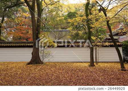 Forest of Kamogamo Shrine Forest 26449920