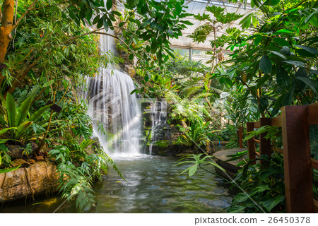 waterfall in garden 26450378