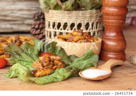 Silkworm pupae 26451734