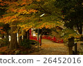 Autumn leaves on a frog 26452016