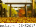 Autumn leaves on a frog 26452017