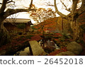Autumn leaves on a frog 26452018