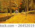 Autumn leaves on a frog 26452019