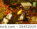 Autumn leaves on a frog 26452020