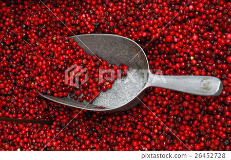 Fresh red ripe cranberries with metal scoop Fresh red ripe cranberries with metal scoop 26452728