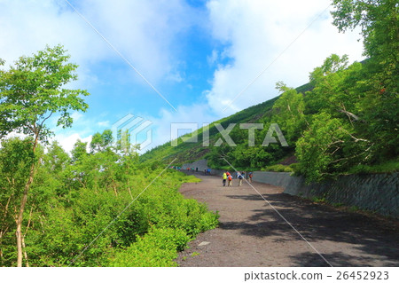 Yoshidaguchi山路附近連續第五隻眼睛 26452923