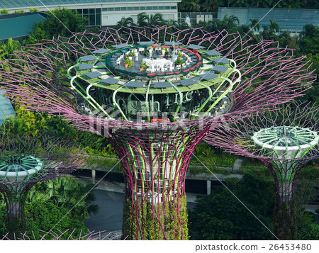 Singapore · Super Tree 26453480