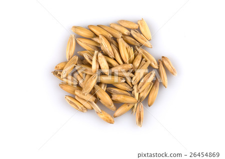 pile of organic oat grains pile of organic oat grains 26454869