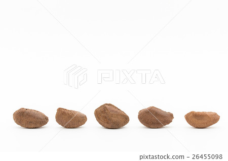 Brazil nuts: Brazil nut 26455098