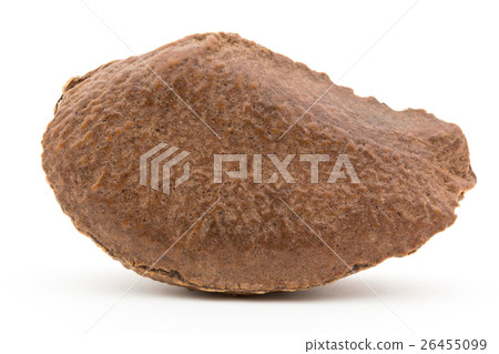 Brazil nuts: Brazil nut 26455099