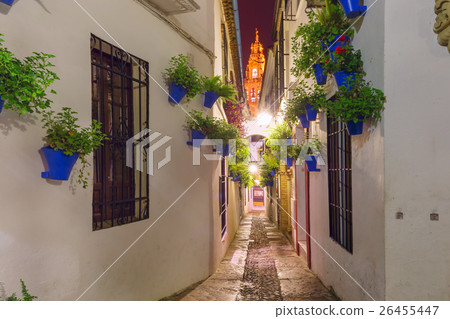 Flower street Calleja de las Flores Cordoba, Spain 26455447