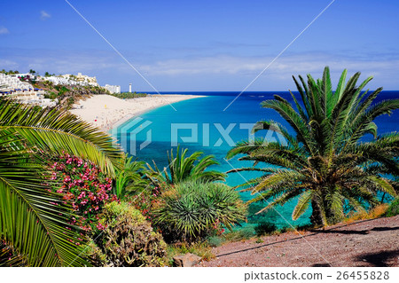 The beach Playa de Morro Jable. Fuerteventura. 26455828
