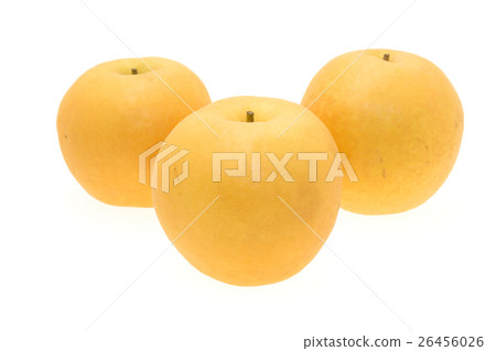 Emerging pears from Tottori Prefecture 26456026