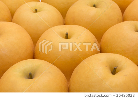 鳥取縣出現的梨子 26456028