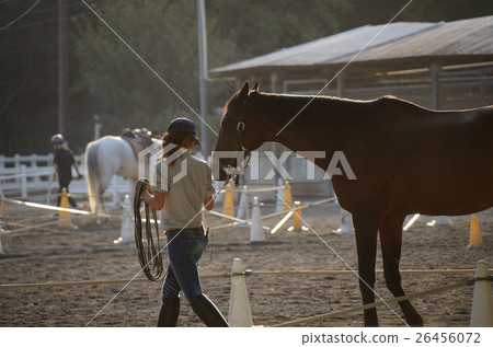 Dusk ranch in the evening Dusk ranch in the evening 26456072
