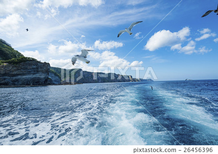 Cruising image cut with Shakotan (+ Seagull) 26456396
