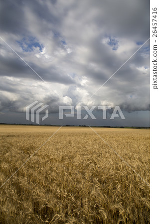 Storm Clouds Saskatchewan Storm Clouds Saskatchewan 26457416