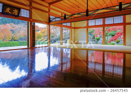 Floor maple (wide angle) 26457545