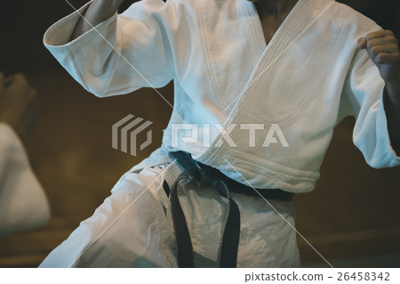 武術 人 人物 26458342