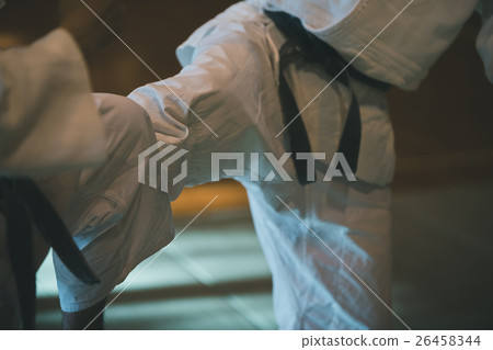 武術 人 人物 26458344