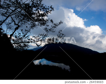 太平山步道 26459083