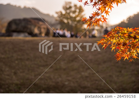Nara Asuka School excursion students who visited the stone stage in autumn 26459158