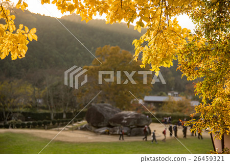 Nara Asuka學校遊覽學生在秋天參觀石階 26459321