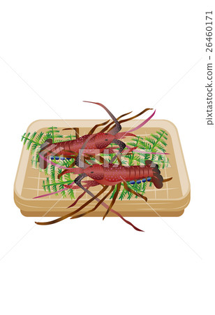 Shrimp Ise 26460171