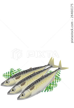 mackerel 26460175