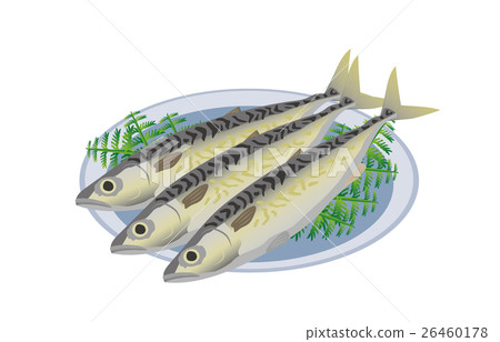  mackerel 26460178