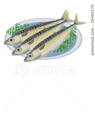  mackerel 26460179