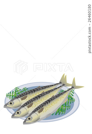  鯖魚 26460180