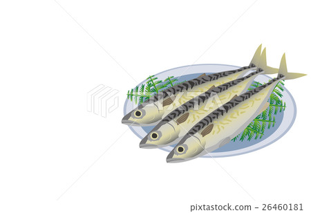  鯖魚 26460181