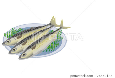  mackerel 26460182