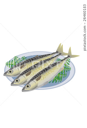  mackerel 26460183