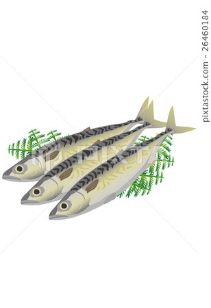  鯖魚 26460184