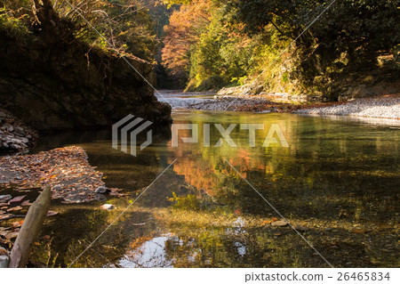 秋葉 -  Akikawa Valley  - （東京 -  Akiruno） 26465834