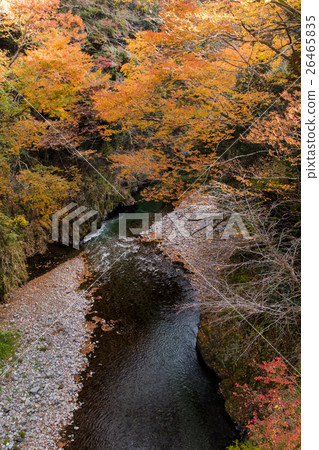 秋葉 - Akikawa Valley - (東京 - Akiruno) 秋葉 - Akikawa Valley - (東京 - Akiruno) 26465835