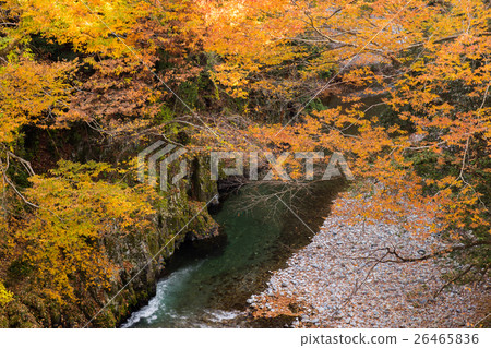 秋葉 -  Akikawa Valley  - （東京 -  Akiruno） 26465836