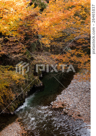 秋葉 -  Akikawa Valley  - （東京 -  Akiruno） 26465837
