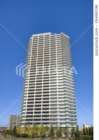 Tower Mansion 26466596