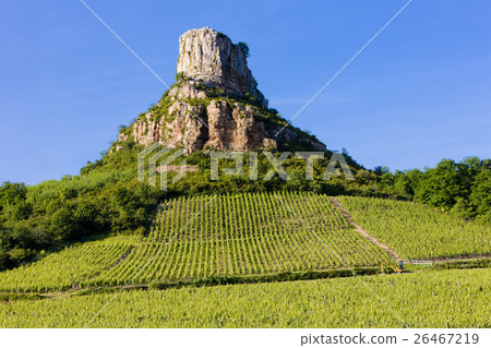 La Roche de Solutre with vineyards,Burgundy,France La Roche de Solutre with vineyards,Burgundy,France 26467219
