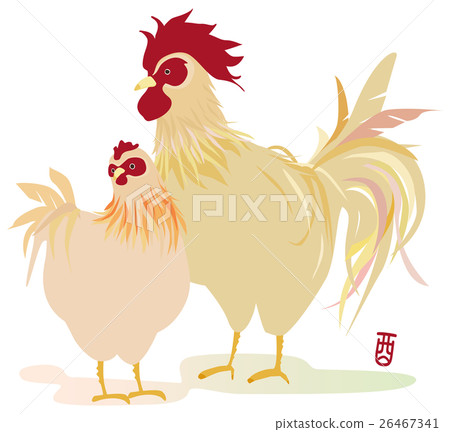 Rooster chicken Rooster chicken 26467341