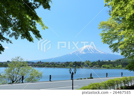 Fuji in early summer and Mt. Fuji 26467585