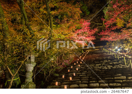 Autumn leaves on Nara Muromyoji Armor Saka and light up Autumn leaves on Nara Muromyoji Armor Saka and light up 26467647